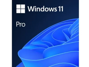 Microsoft  Windows 11 Professional 64Bit Eng Intl 1pk DSP OEI DVD (22H2)