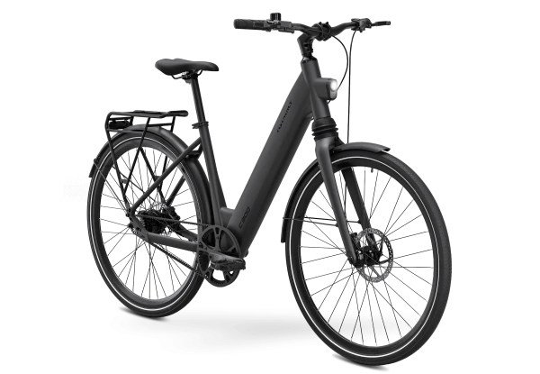 MS ENERGY eBike c300