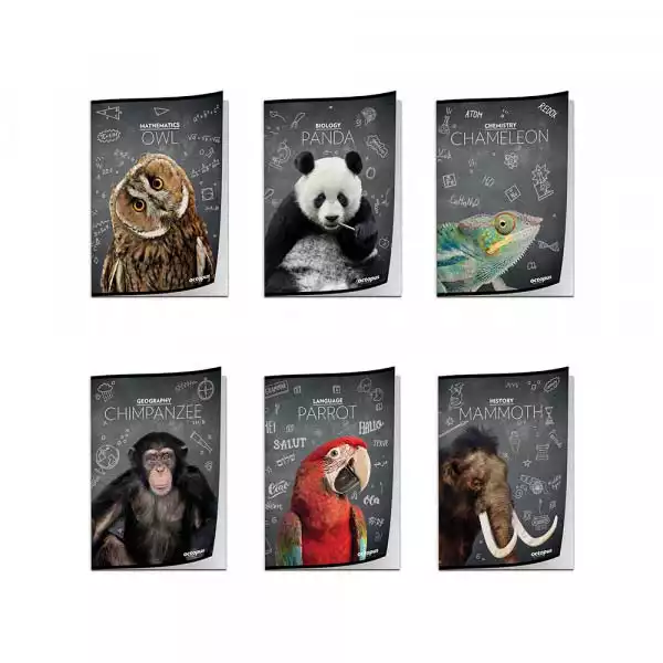 https://www.uspon.rs/images/products/big/51017.webp