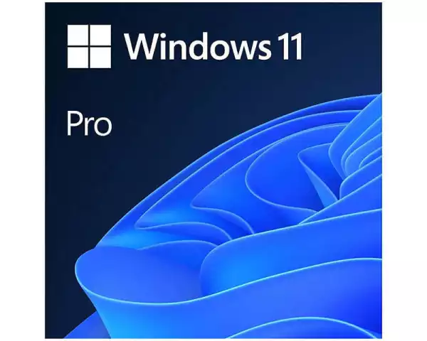 Microsoft Windows 11 Pro FPP 64-bit Eng Intl non-EU/EFTA USB HAV-00164